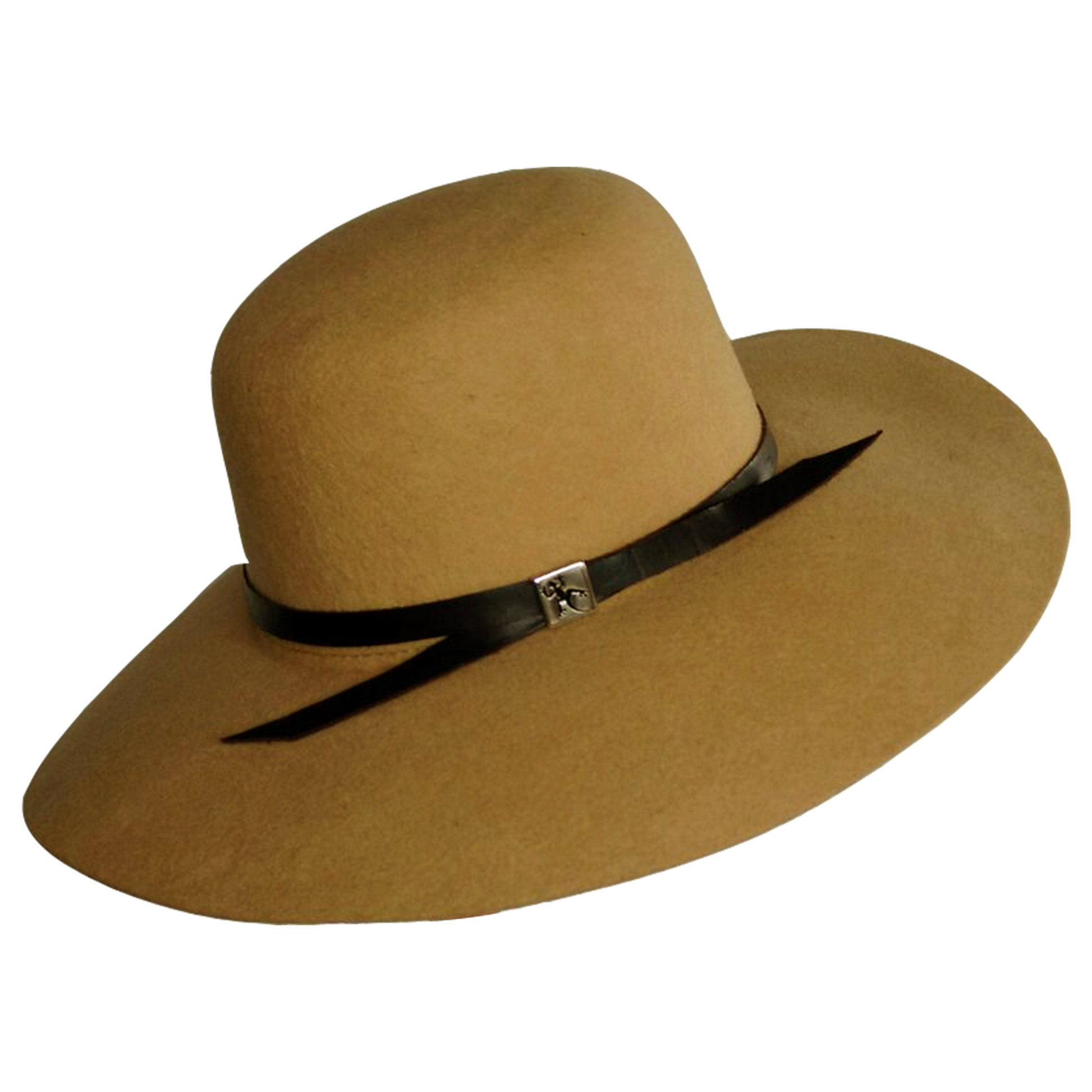 NH29.png